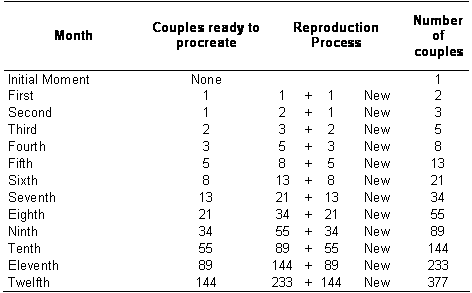 conigli fibonacci