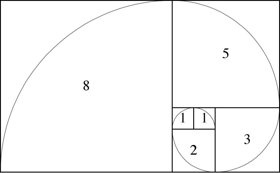 spirale di fibonacci